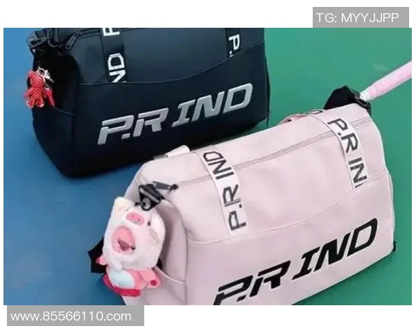 游泳装备全攻略：从入门到进阶的必备选择与搭配建议