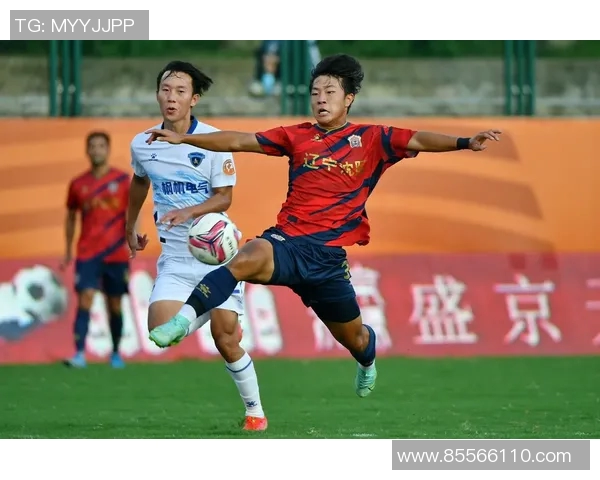 南京足球队在冠军赛中的技术表现分析与未来展望