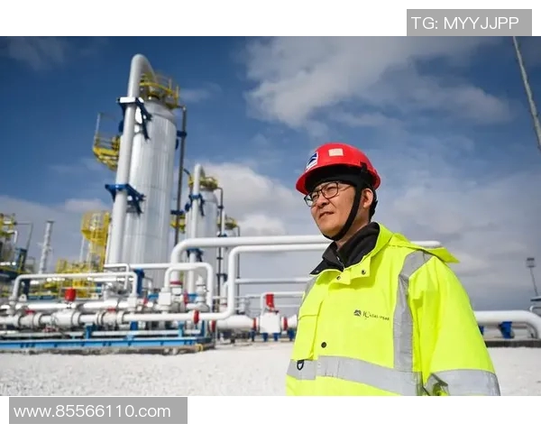 刘磊专访揭秘网球成功秘诀与职业生涯背后的故事