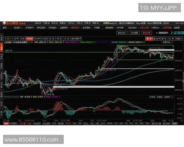 武汉足球队与上海足球队的赛后复盘与比赛节奏分析