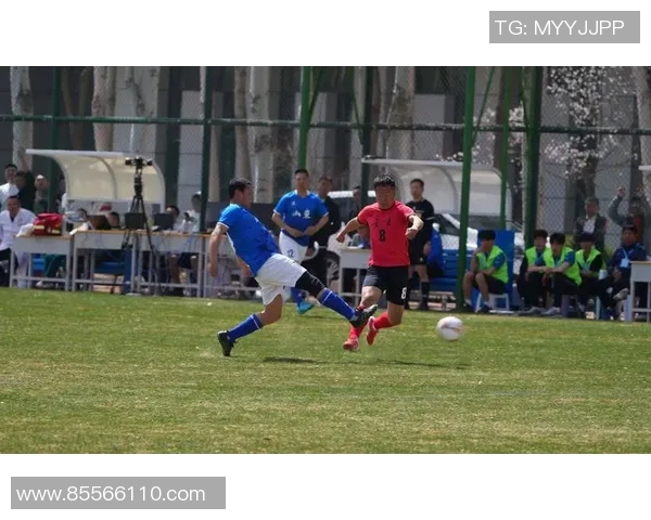 深圳足球队在全运会中的技术表现分析与点评