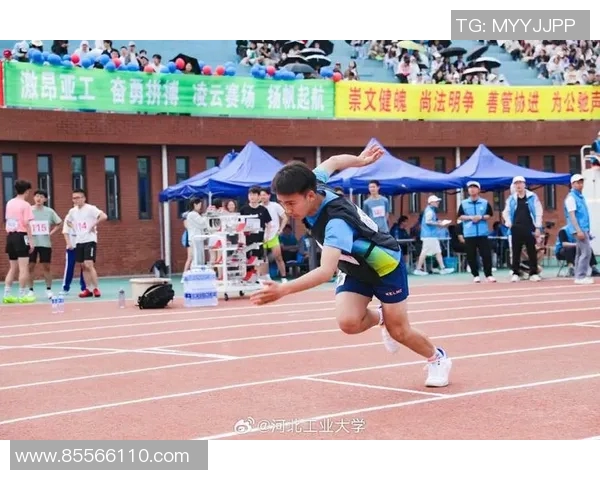 西安网球队拼搏历程揭秘选拔赛背后的坚持与梦想