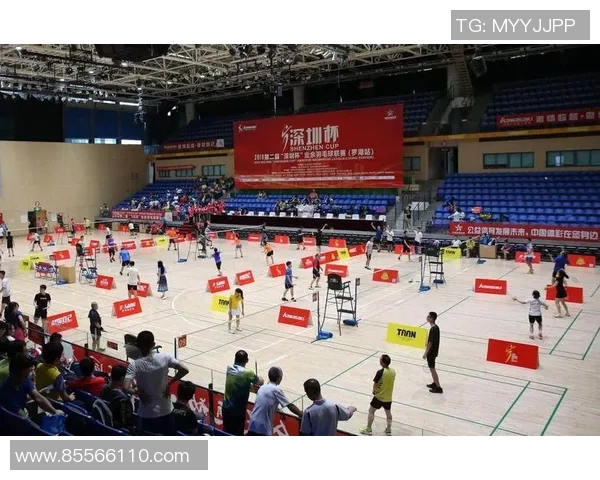 深圳羽毛球队的崛起与挑战揭秘羽毛球巨献的背后故事